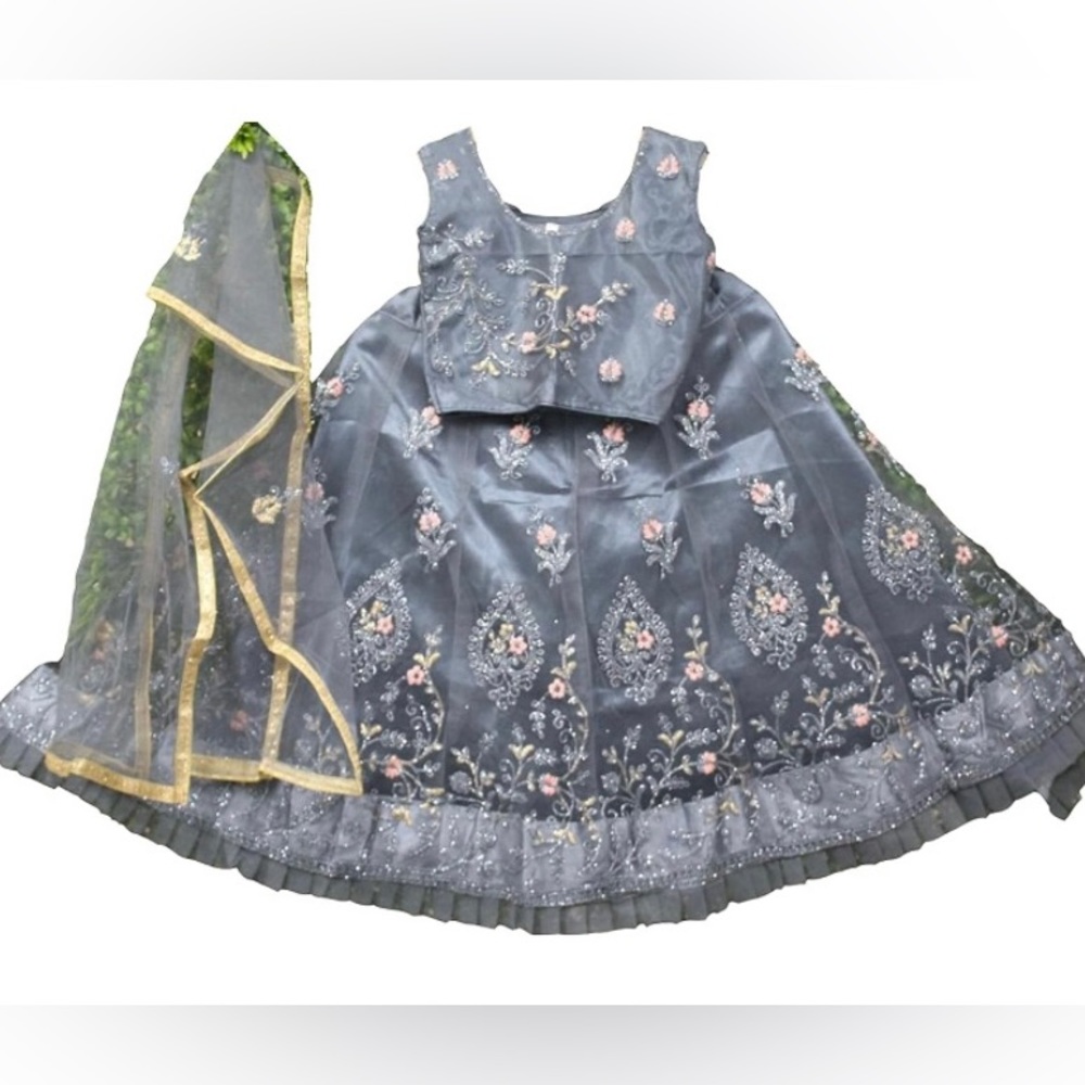 Brand New Mesh Net Lengha